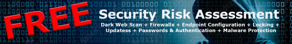 Free Security Risk Assessment Banner