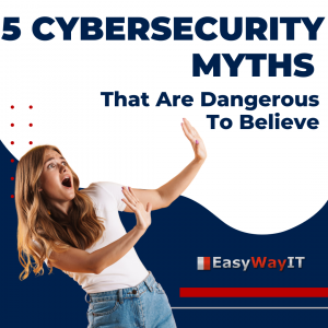 5 Cybersecurity myths in Saint Petersburg